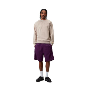 Carhartt WIP Chase Sweatshirt - Dingle Surf