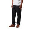 Carhartt WIP Newel Pant