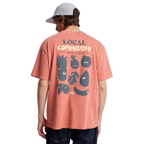 Quiksilver Fruits Tide Short Sleeve T-Shirt - Dingle Surf