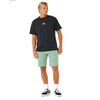 Rip Curl Boardwalk Jackson Shorts