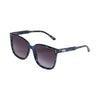 Vans Gilpin Sunglasses